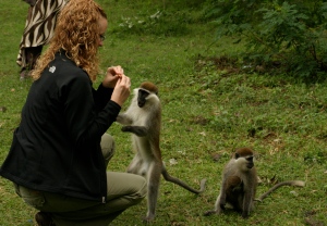 Feeding monkeys in Awassa!